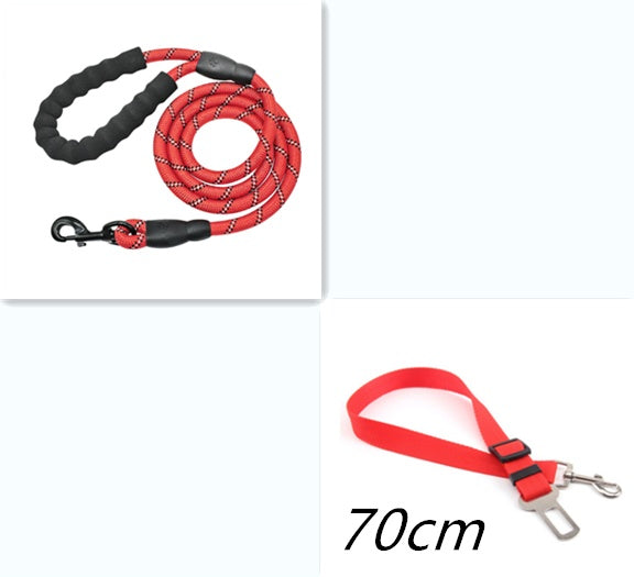 Walk with Confidence! Reflective Dog Leash for Secure, Comfortable Walks - Pet Paws