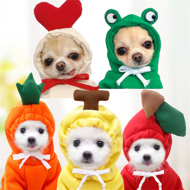 Keep Your Pet Cozy & Cute with Adorable Fruit-Themed Winter Hoodies! - Pet Paws