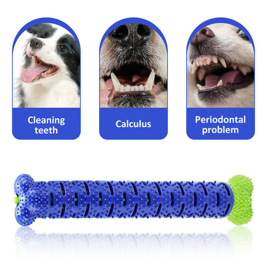 Transform Playtime into Dental Care with Our Durable Dog Toothbrush Chew Toy! - Pet Paws