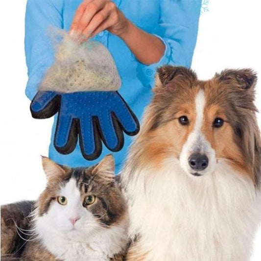 Grooming Made Easy: Pet Hair Removal Glove for Stress-Free Bath Time! - Pet Paws